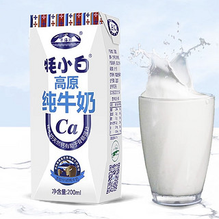 青海湖 3.3g蛋白质 牦小白 高原纯牛奶 200ml*10盒