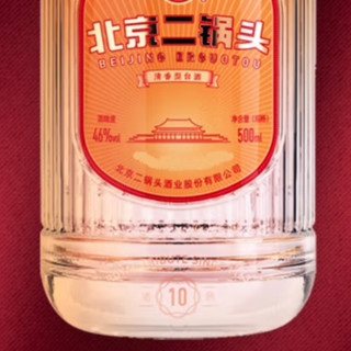 YONGFENG 永丰牌 金满堂 老熟10 北京二锅头 出口型 46%vol 清香型白酒 500ml*2瓶 礼盒装