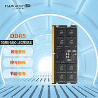 Team 十铨 笔记本内存条 DDR5 4800MHz 16GB