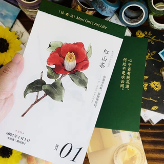 2023年新年日历台历 2023 花开有时手撕日历