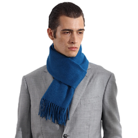 pierre cardin 皮尔·卡丹 男士围巾 D22TM5201 孔蓝 180*30cm