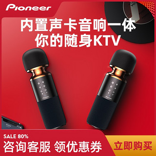 Pioneer 先锋 APS-LM11 音响一体麦克风 曜石黑 单支装