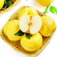 安徽砀山梨9斤大果（单果200g起）现摘酥梨新鲜水果 京东生鲜