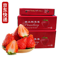 PLUS会员：静益乐源 大凉山红颜草莓 净重3斤 中果礼盒装单果13-18g