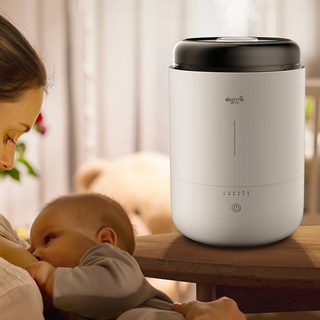 deerma 德尔玛 DEM-RZ100 加湿器 2L