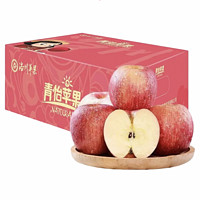 青怡 洛川苹果 单果160g 4.5kg