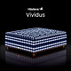  Hastens 海丝腾 Vividus 手工缝制天然材质瑞典进口定制独立床 蓝白印花 210*210cm　