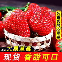 鲜姿 丹东99红颜大草莓 新鲜水果孕妇水果礼盒 2斤推荐装 单果20-30g