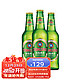 青岛啤酒 经典啤酒 330ml*24瓶