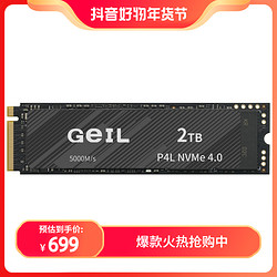 GeIL 金邦 P4L 2TB SSD固态硬盘 M.2接口（NVMe协议 PCIe 4.0x4)