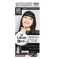 Kao 花王 liese prettia系列 泡沫染发剂 #黑色 1盒