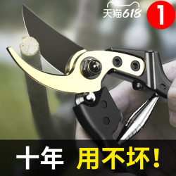 晶思达 果树修枝剪树枝专用花艺花卉枝剪子剪枝园林工具花剪修剪园艺剪刀