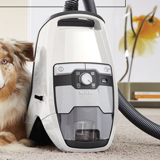 Miele 美诺 BLIZZARD CX1 桶式吸尘器 莲花白