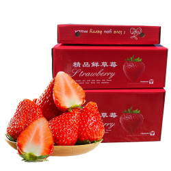 静益乐源 大凉山红颜草莓 净重3斤中果礼盒装单果13-18g