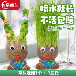 易波盆栽 易波易囍艺长草娃娃小盆多少钱 什么值得买