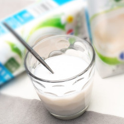 佰恩氏 大瓶装 椰子汁1l*2瓶