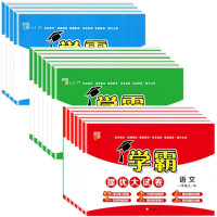 《2023春小学学霸提优大试卷》