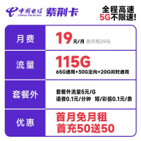 中国电信 紫荆卡 19元月租（65G通用流量+30G定向流量+20G闲时流量）激活送30话费 长期套餐