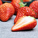 露天高山红颜99牛奶草莓 露天种植 精选草莓5斤礼盒装