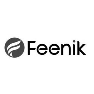 Feenik/费尼克