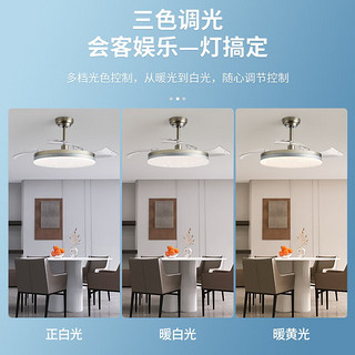 雷士照明 NVC Lighting  Lighting照明 风扇灯LED吊扇灯隐形扇叶简约中式餐厅卧室客厅遥控调光灯具 荐！星空36瓦调色调风丨节能变频 10-15m²（星空镍