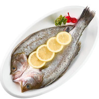 壹条鱻 白蕉海鲈鱼免去处理350-450g*6