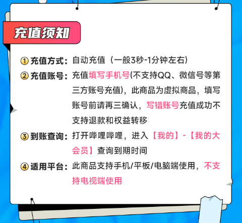 bilibili 哔哩哔哩 大会员12个月年卡