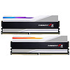 G.SKILL 芝奇 幻锋戟 DDR5 6400MHz RGB 台式机内存 灯条 科技银 64GB 32GBx2 F5-6400J3239G32GX2-TZ5RS