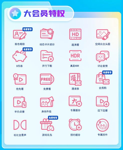 bilibili 哔哩哔哩 大会员12个月年卡