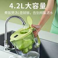 BWT 倍世 德国倍世BWT净水壶家用净水器自来水过滤器进口滤芯4.2L过滤水壶