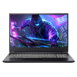 巅峰玩家 NK50SB 准系统笔记本（GTX 1650）