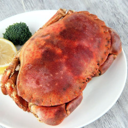 新鲜熟冻大面包蟹 珍宝蟹 600g~800g*三只装