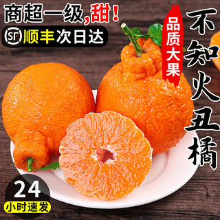四川不知火丑橘10斤新鲜水果整箱应当季丑八怪耙耙桔子柑粑粑橘子