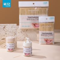 CHAHUA 茶花 一次性双头牙签 盒装+袋装 1700支