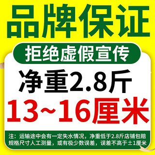 寰球渔市 海虾大虾4斤13-16厘米精选水冻虾白虾整箱批发