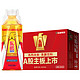 DONGPENG 东鹏 饮料 东鹏特饮瓶装500ml*2瓶