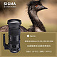 SIGMA 适马 60-600mm F4.5-6.3 DG OS HSM Sports全画幅远摄变焦单反镜头