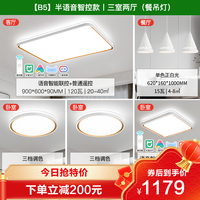 雷士 NVC  B2 两室两厅 4灯丨语音智控客厅+卧室*2+餐厅灯