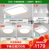 雷士 NVC  B2 两室两厅 4灯丨语音智控客厅+卧室*2+餐厅灯