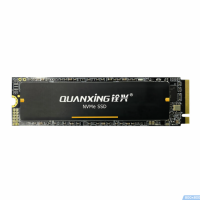 有券的上：QUANXING 铨兴 N301 NVMe M.2固态硬盘 2TB PCIe3.0