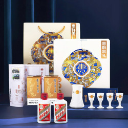 MOUTAI 茅台 飞天茅台 53%vol 酱香型白酒 100ml*2瓶 惠群贵礼礼盒