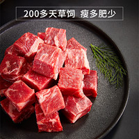 SELON 胜龙 牛知鲜草饲牛腩粒 500g