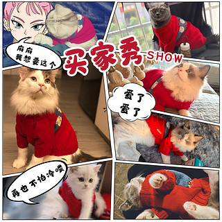 小猫咪衣服冬季保暖可爱布偶狗狗防掉毛幼猫宠物猫秋冬毛衣圣诞装