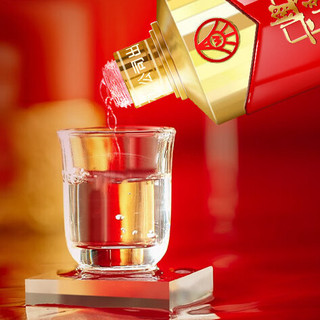 WULIANGYE 五粮液 兴隆 吉祥如意 52%vol 浓香型白酒 500ml*2瓶 礼盒装