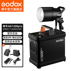 Godox 神牛 AD1200Pro外拍闪光灯大容量锂电池摄影灯高速TTL便携电箱套装