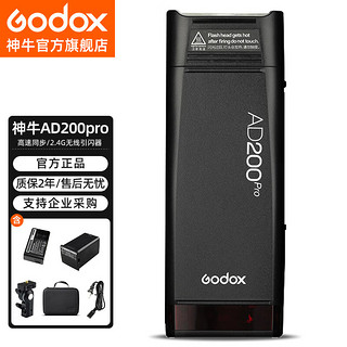 Godox 神牛 AD200pro 外拍闪光灯锂电池便携口袋摄影闪光灯 单反相机高速TTL外拍闪光灯