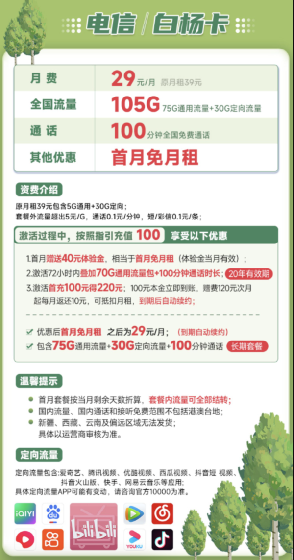 CHINA TELECOM 中国电信 白杨卡 29元月租（105G全国流量+100分钟通话）20年长期卡