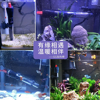 森森（SUNSUN）鱼缸加热棒自动恒温水族箱防爆加热器鱼缸用品 高硼硅玻璃100W(小型鱼缸)