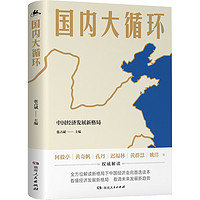 《国内大循环》