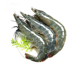 XYXT 虾有虾途 新鲜青岛大虾 14-16厘米 2kg
